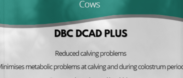 D-dairy Enterprises 1 d dairy enterprises