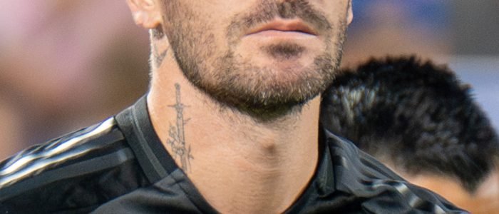 D Paul Variety 1 d paul variety